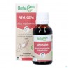 Sinugem Gc15 Voies Respiratoires Bio 30ml