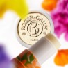 Roger & Gallet - Parfum Solide Bienfaisant Gingembre Rouge 5 g