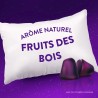 ZzzQuil Fort Sommeil Arôme Fruits des bois 30 gommes