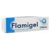 Mylan Flamigel Gel Cicatrisant 100 g