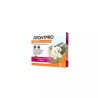 Frontline Frontpro petit chien 2-4 kg - 3 comprimés