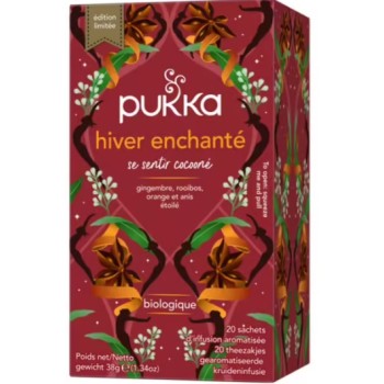 Hiver Enchanté Bio 20 sachets