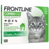 Frontline Combo Spot-On Anti Puces Et Tiques Chat 6 Pipettes