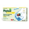 Sanofi Phytoxil Gorge Irritée Fruits Rouges x16 Pastilles