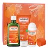 Weleda - Coffret Sport - 3 Soins