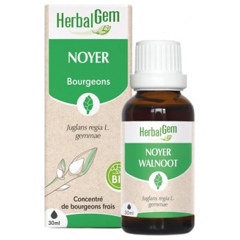 HerbalGem Noyer Bio 30ml